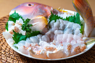 日本の刺し身　和食イメージ