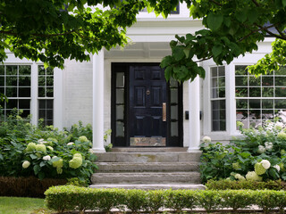 House with tree branches and hydrangea bushes, and white portico entrance - 551204445