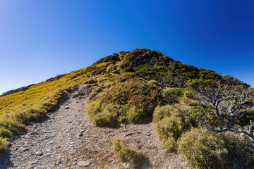 Sunny landscape of the Hehuanshan mountain