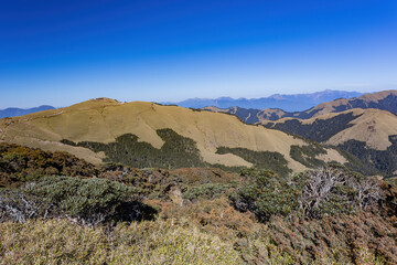 Sunny landscape of the Hehuanshan mountain