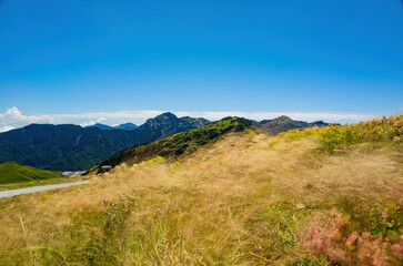 Fototapeta premium Sunny landscape of the Hehuanshan mountain