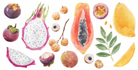 Beautiful stock clip art illustration set with hand drawn watercolor tasty tropical fruits. Healthy vegan food. Papaya mangosteen dragon fruit passionfruit longan mango.