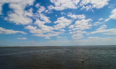 晴れた日の有明海の干潟