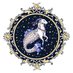 Astrological symbol on white background - Capricorn - 551209832