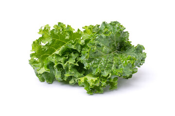 Kale leaf isolated on white background. 
