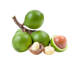 macadamia nuts on transparent png