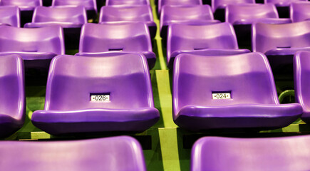 Fototapeta premium Row of empty purple seats at stadium