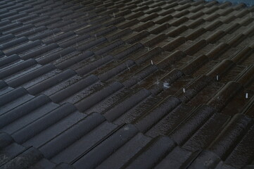 wet roof of house resident, construction industry