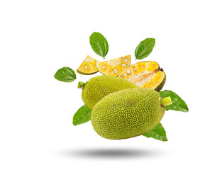 Jackfruit isolated on transparent png