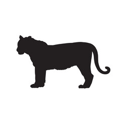Black silhouette of tiger. Wild animal vector illustration on white.