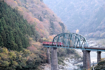 【徳島】吉野川に架かる鉄橋を渡る鉄道車両（土讃線）