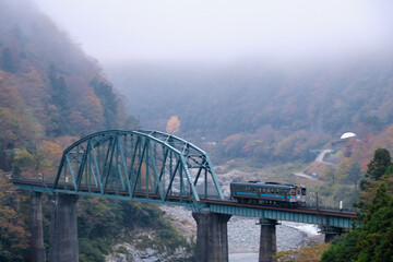【徳島】吉野川に架かる鉄橋を渡る鉄道車両（土讃線）