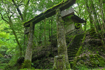 苔むした皇大神宮「鳥居と祠」