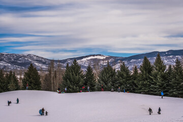 Distant view of children sledding down the hill on nice winter day; trees and snowcapped mountain range in background 