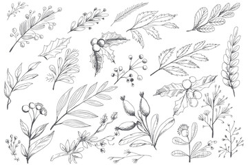 Beautiful decorative christmas elements leaf sketch set background