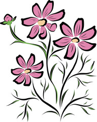 アナログタッチの手描きのコスモスのイラスト