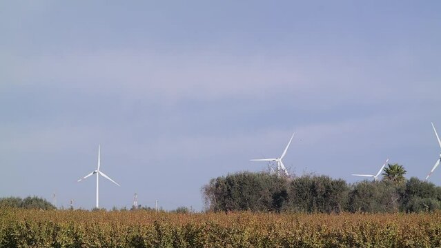 paesaggio