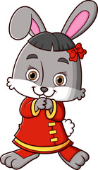 Cute rabbit wearing chinese traditional dress and standing, smiling, and holding hands