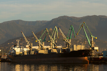 Obraz premium cranes in the seaport, shipment and delivery, cargo, warehouse, dry-cargo ship