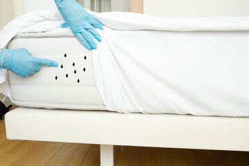 bed bugs, dust mites, disinfector shows insects on the mattress in the bedroom