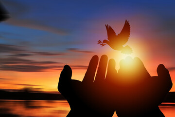 Close-up silhouette of both hands and silhouette of a dove holding an olive branch On the light...
