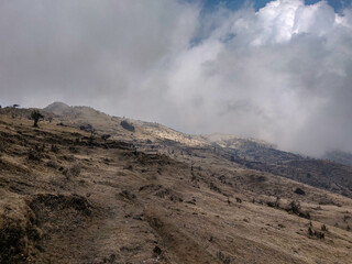 Fototapeta na wymiar clouds wild bushes rugged terrain in the foggy mountains