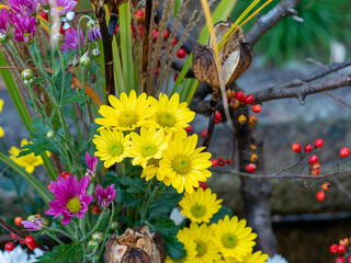 手水舎の美しい生け花