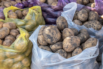 Fototapeta na wymiar Harvest potatoes in the market close-up