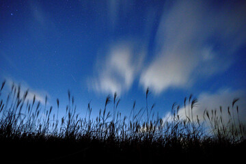 曽爾高原　ススキ　星空