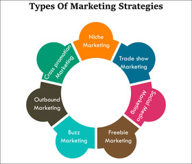 Types of marketing strategies in an infographic template