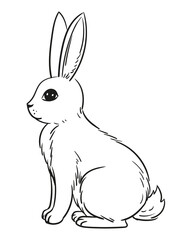 Doodle sketch Rabbit sitting. Cute rabbit sitting vector illustration isolated on white background