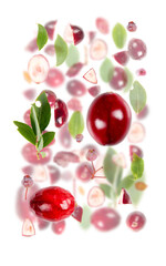 Cranberry Slice and Leaf Abstract