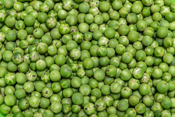 small green jurubeba fruits