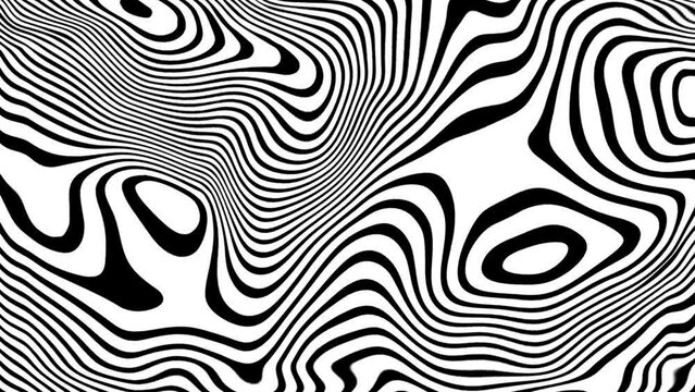 Striped wave animation. Black white liquid line animated pattern