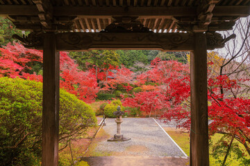 奈良　長岳寺　本堂からの紅葉　