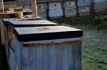 a beehive that is poorly insulated and heat escapes from under the lid. In the winter, bees keep...