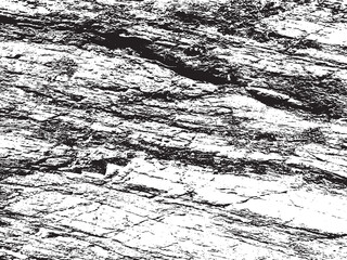 stone texture with moss