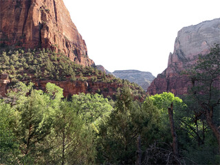 Isolated PNG cutout of a red canyon - Zion National Park on a transparent background