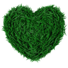 Green grass with heart shape