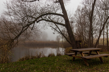 Rastplatz am Ufer des Biotopes in Gaaden, Niederösterreich