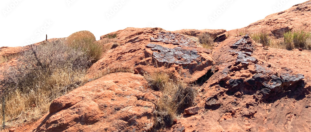 Wall mural isolated png cutout of a red canyon - zion national park on a transparent background