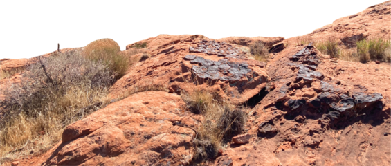 Isolated PNG cutout of a red canyon - Zion National Park on a transparent background
