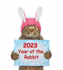 Cat in rabbit ears with 2023 sign