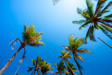 Holiday concept image with Scenery near beach  and vacation view in Terengganu.