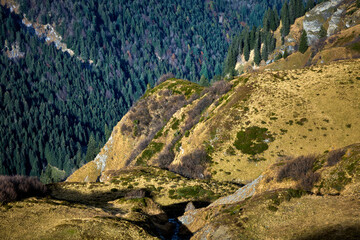 Berglandschaft mit Wald im Hintergrund