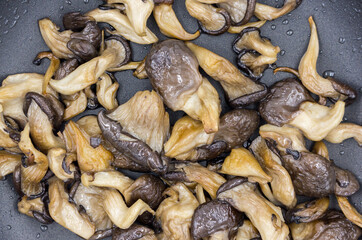 Oyster mushrooms Pleurotus ostreatus in bkack pan close-up.