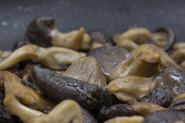 Oyster mushrooms Pleurotus ostreatus in bkack pan close-up.