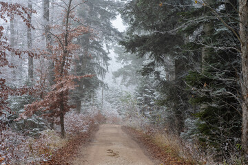 Winter auf dem Dreifaltigkeitsberg Spaichingen