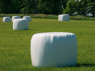 A hill with a vinyl-wrapped hay roll
