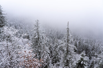 Winter auf dem Dreifaltigkeitsberg Spaichingen